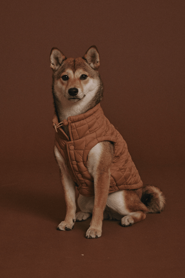 Max Bone Easy Fit Dog Jacket - Camel