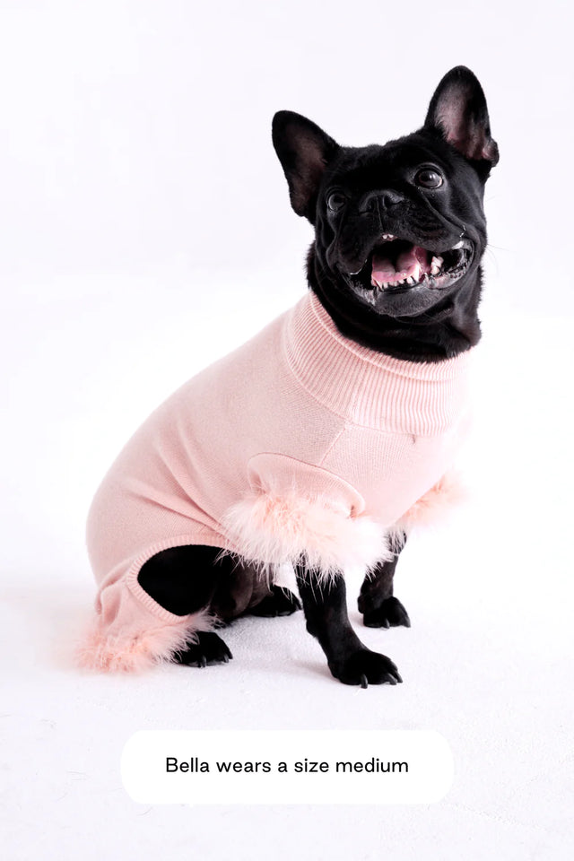 Max Bone Feather Dog Knit Onesie - Peach