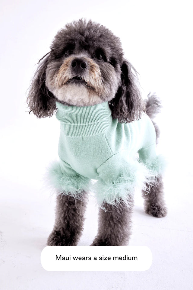 Max Bone Feather Dog Knit Onesie - Mint - XL