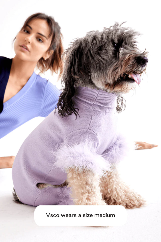 Max Bone Feather Dog Knit Onesie - Lavender
