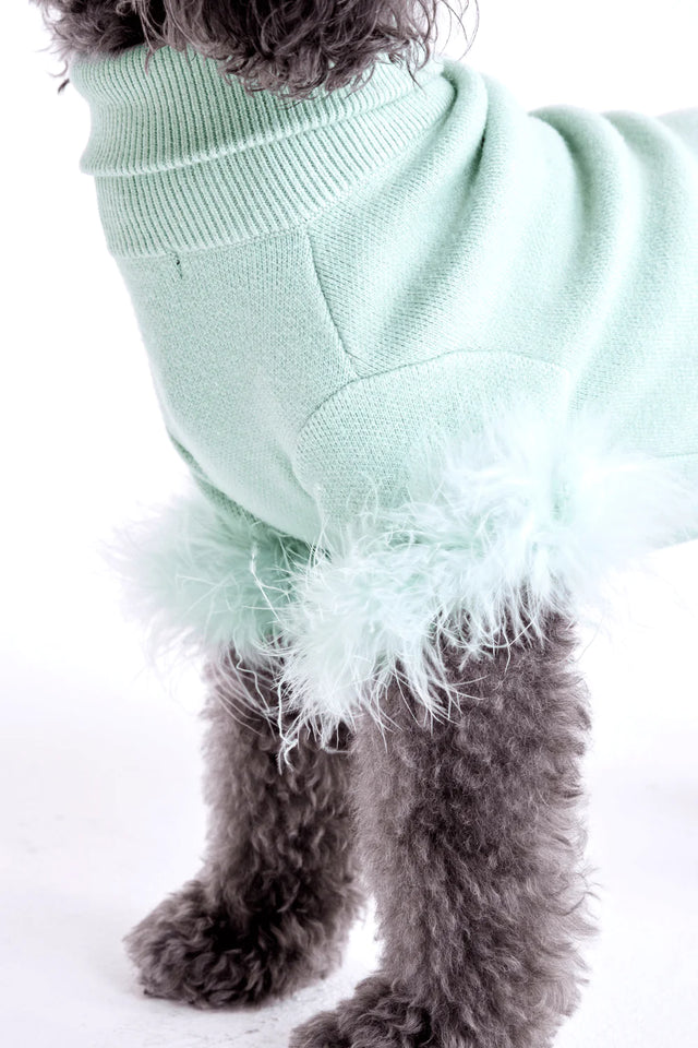 Max Bone Feather Dog Knit Onesie - Mint - XL