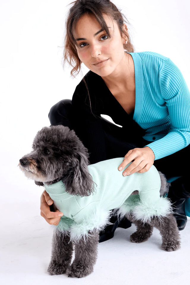 Max Bone Feather Dog Knit Onesie - Mint - XL