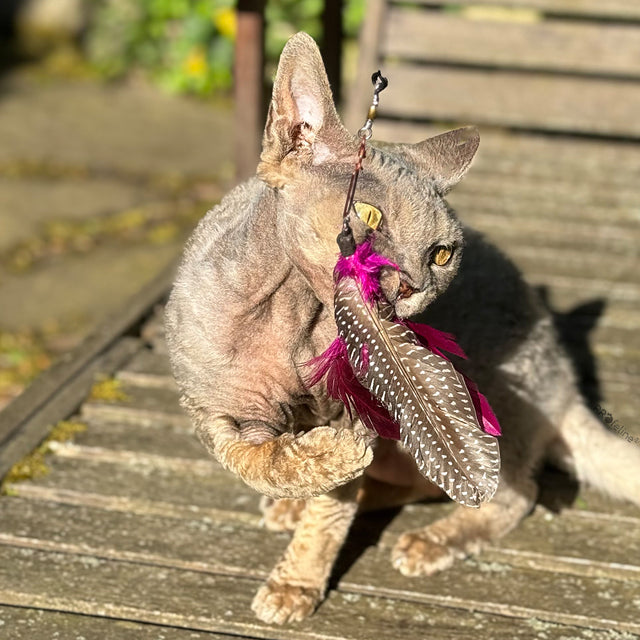 Profeline - Cat Toy Spinning Feather - 2 Set Refill