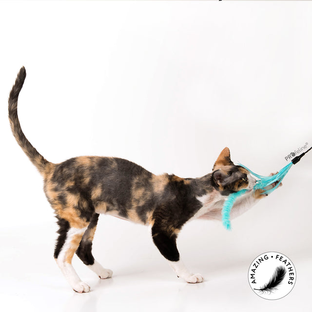 Profeline - Cat Teaser Pipe Wiper