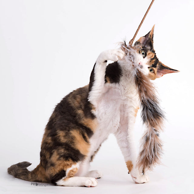 Profeline - Cat Toy Feather Teaser Boa Tail