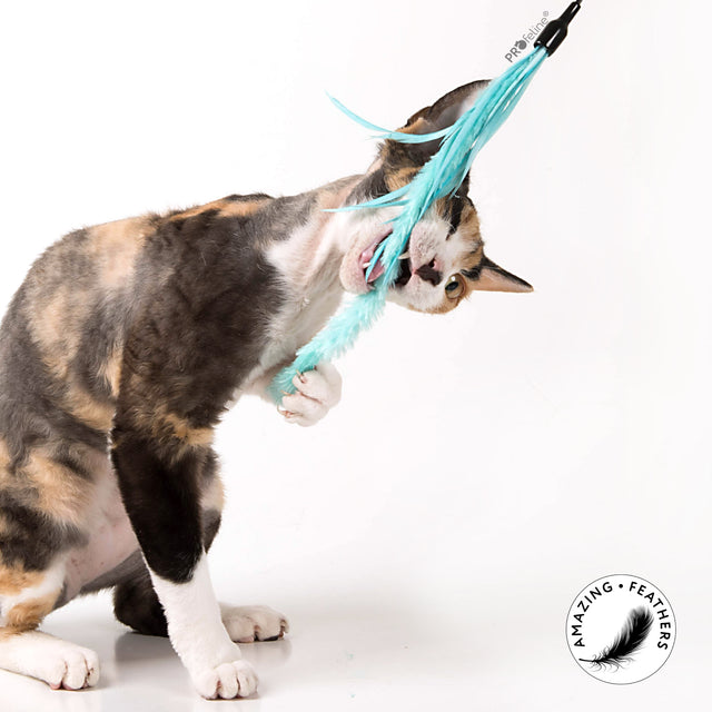 Profeline - Cat Teaser Pipe Wiper