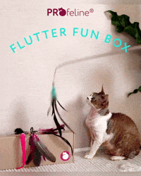 Profeline - Cat Rod Set - Flutter Fun