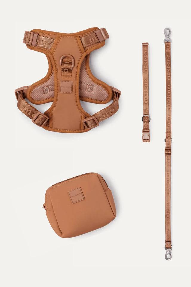 Maxbone Go! With Ease Dog Leash & Harness Walk Set