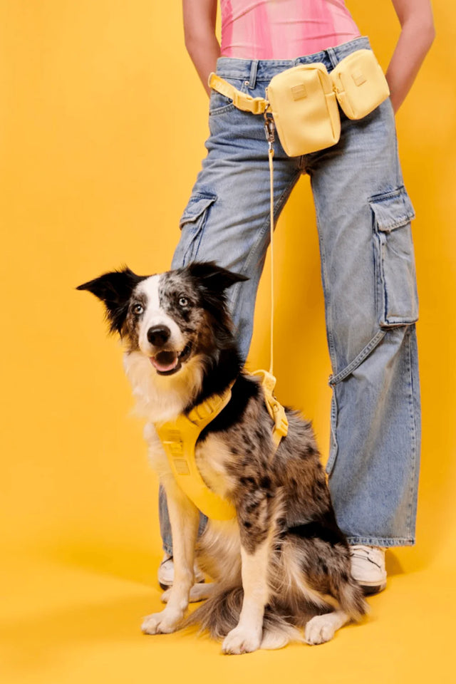 Max Bone GO! With Ease Pouch - Yellow