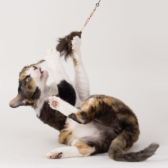 Profeline - Cat Toy Hairy Mouse Attachment