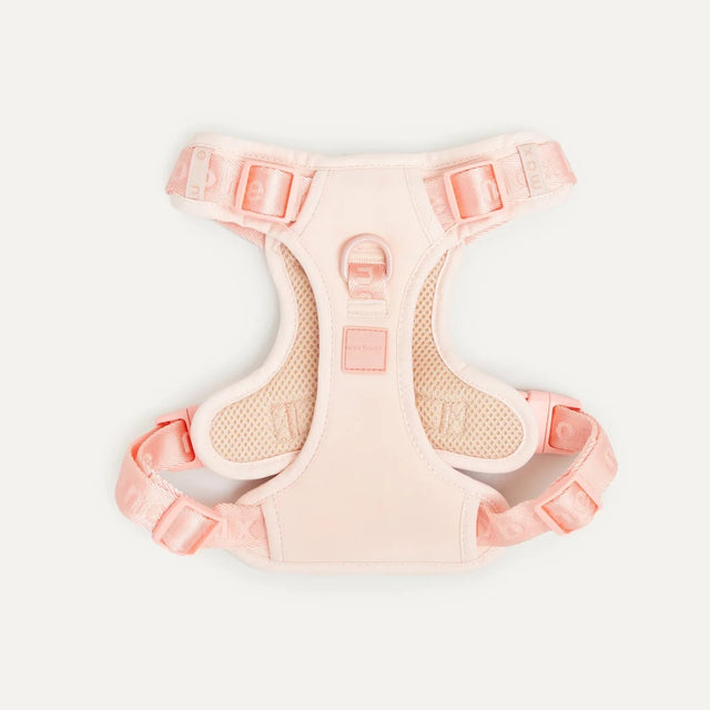 Max Bone Easy Fit Dog Harness - Peach