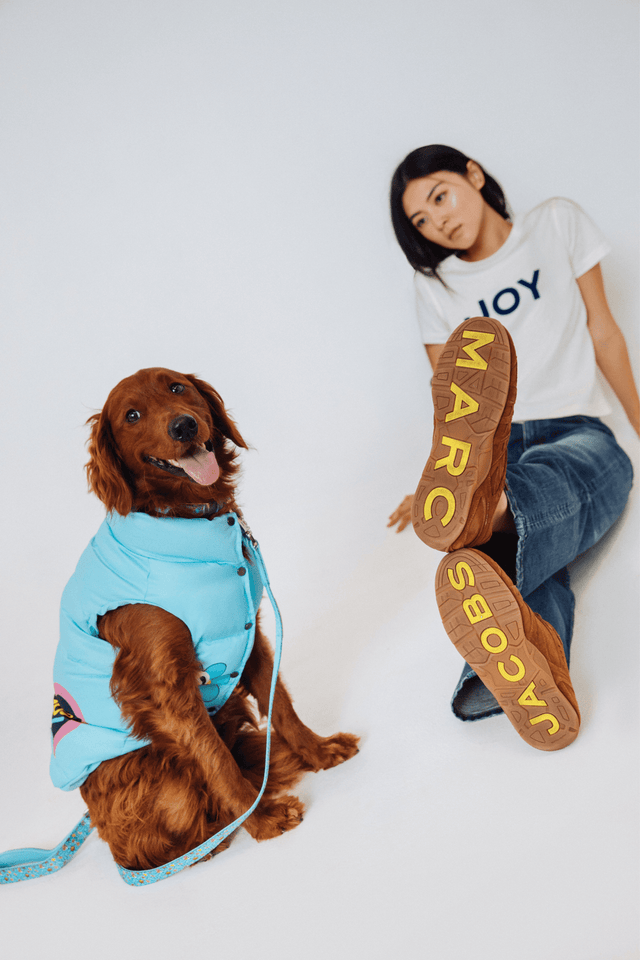 Hattie Stewart X Marc Jacobs X Maxbone Light Blue Dog Puffer Vest