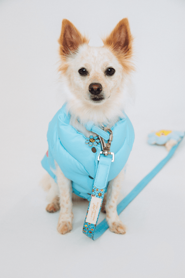 Hattie Stewart X Marc Jacobs X Maxbone Light Blue Dog Puffer Vest