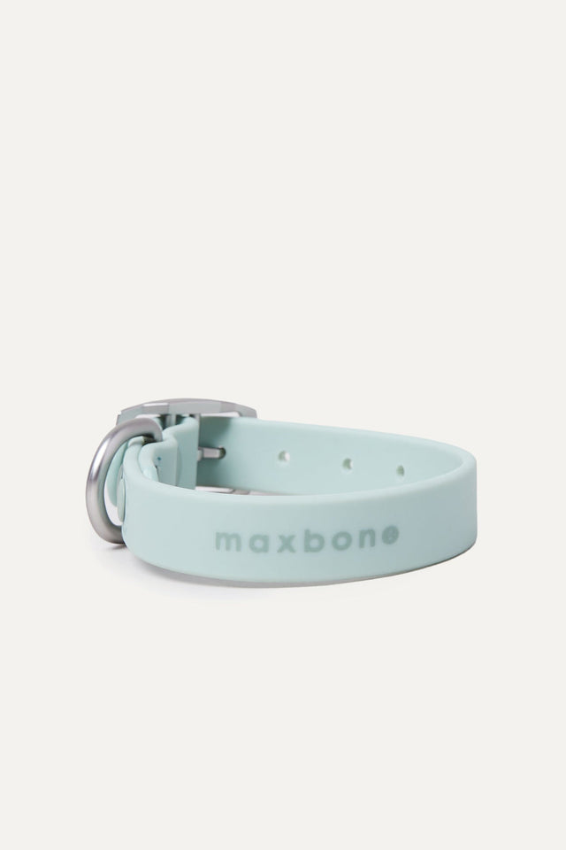 Max Bone Dog Hazel Collar