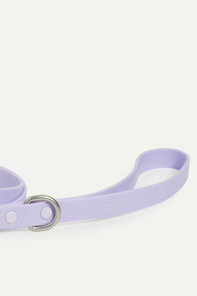 Max Bone Hazel Dog Leash - Lavander