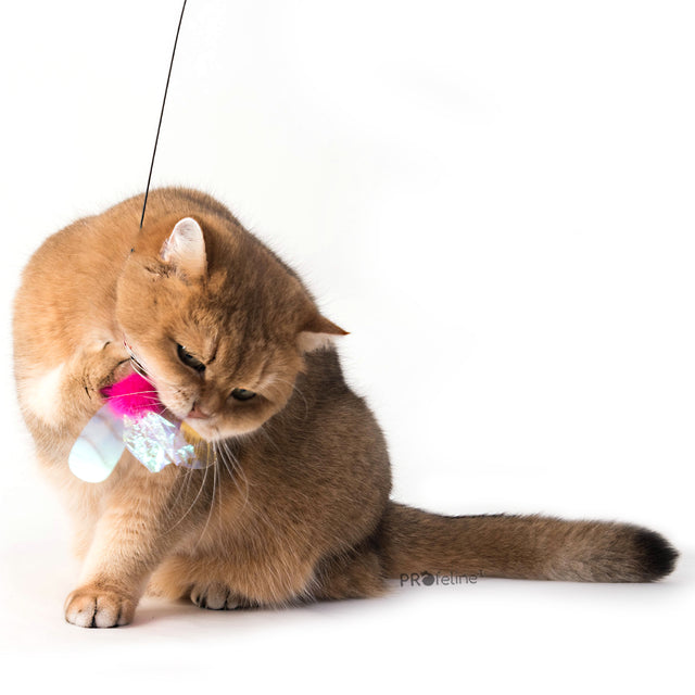 Profeline - Cat Toy Dragonfly & Bug Refill