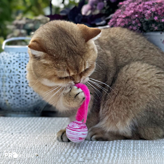 Profeline - Cat Toy Wiggle Tail Ball