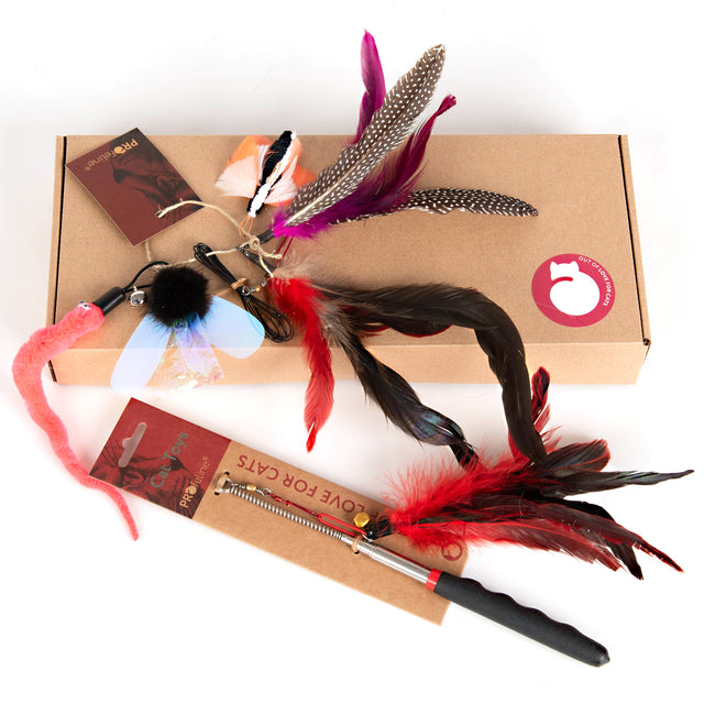 Profeline - Cat Rod Set - Flutter Fun