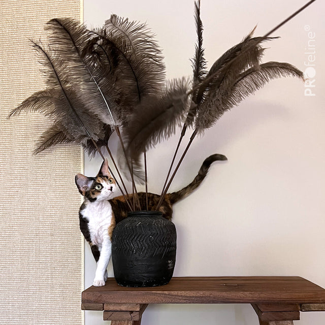 Profeline - Cat Toy Teaser Ostrich Feathers