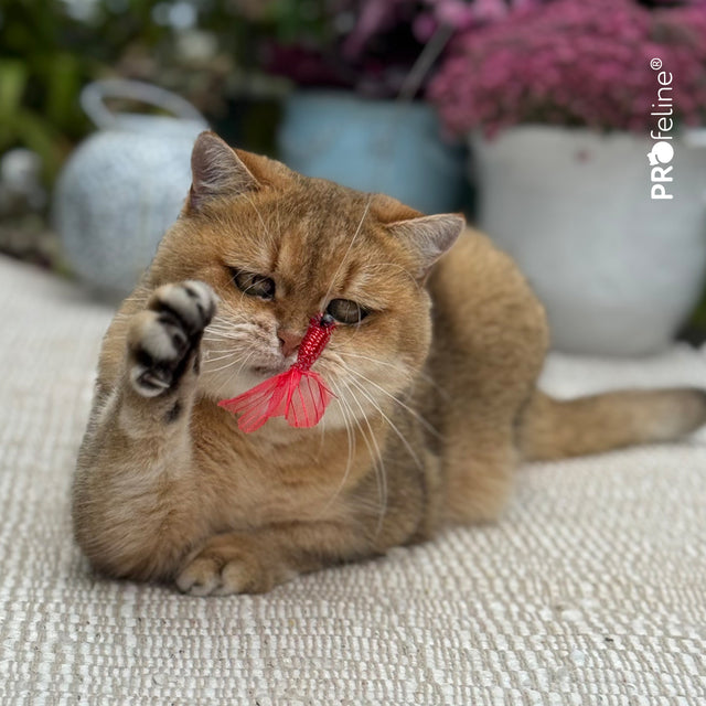 Profeline - Cat Toy Shiny Flutters Refill