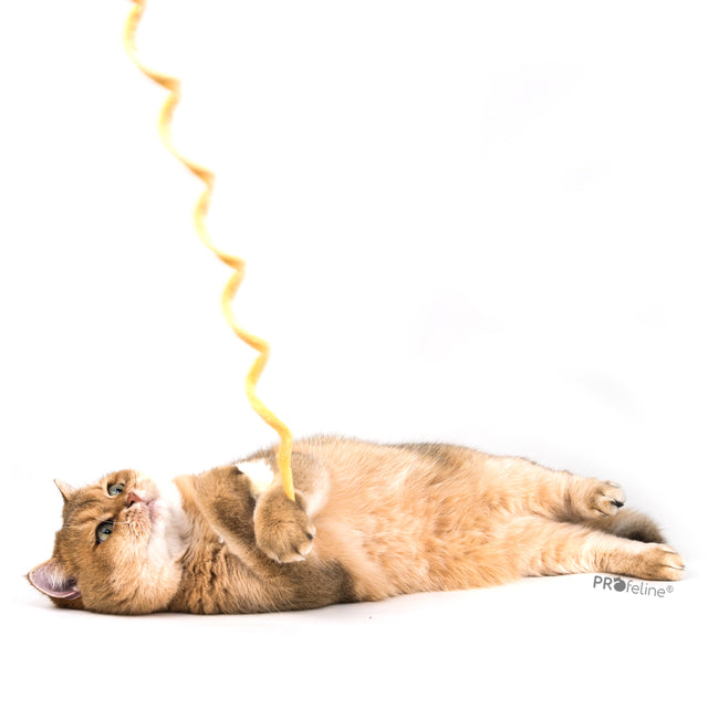 Profeline - Cat Toy Soft Bouncy Attachment