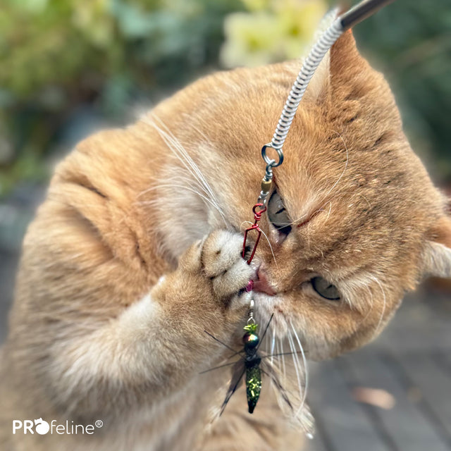Profeline - Cat Toy Skitty & Cricksy Refill