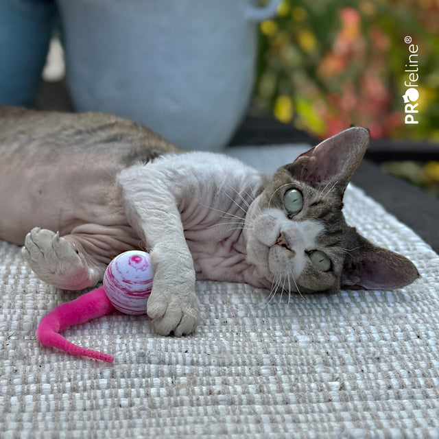 Profeline - Cat Toy Wiggle Tail Ball
