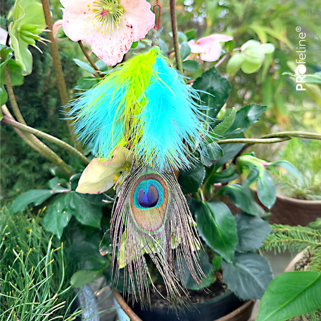 Profeline - Cat Toy Peacock Eye Refill