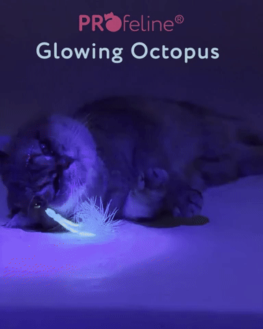 Profeline - Cat Toy Glowing Octopus 2er Pack Refill