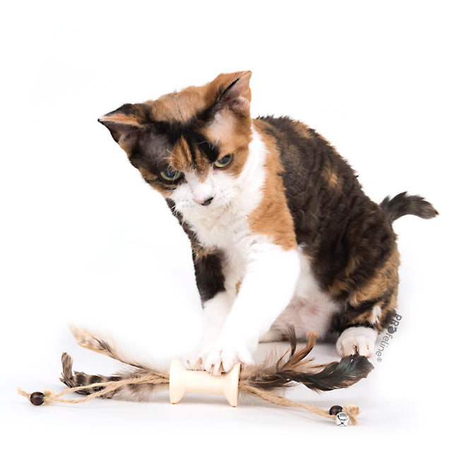 Profeline - Cat Whiskers Spindle Toy