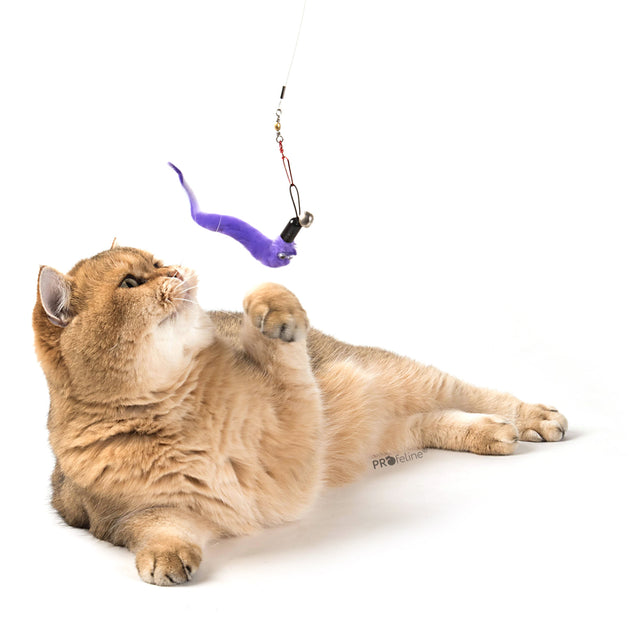 Profeline - Cat Toy Freaky Worm Refill