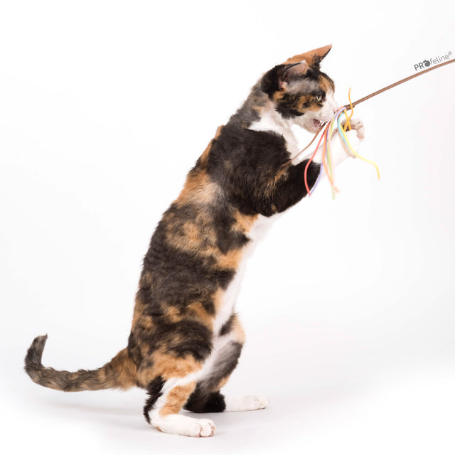 Profeline - Cat Teaser Suede Tassel