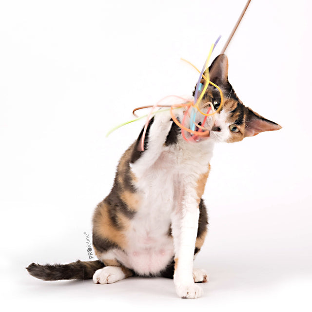 Profeline - Cat Teaser Suede Tassel