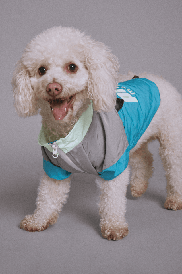 Maxbone X Prince Glowing Windbreaker - S