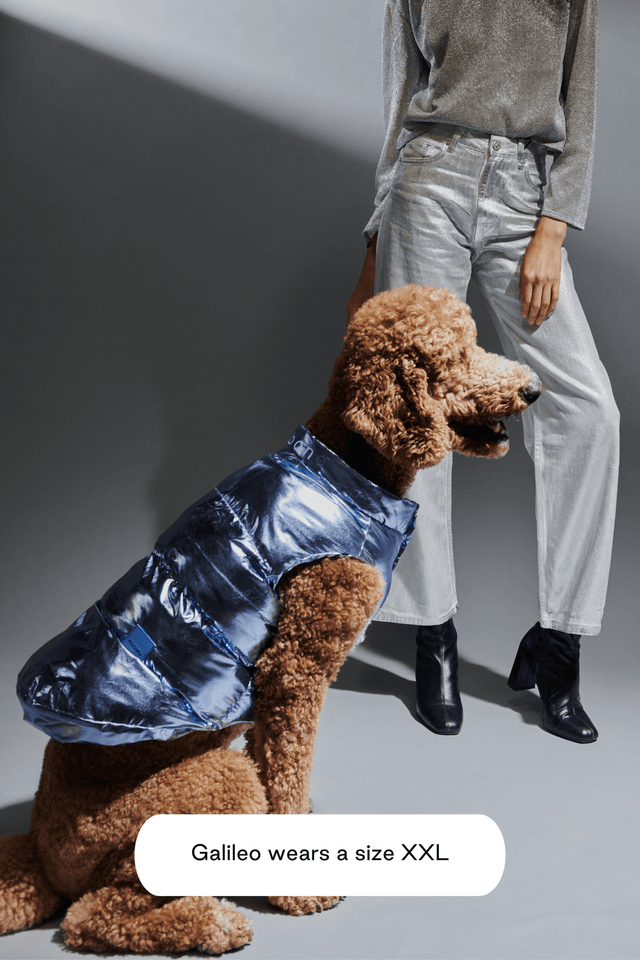Max Bone Metallic Arabella Puffer Vest