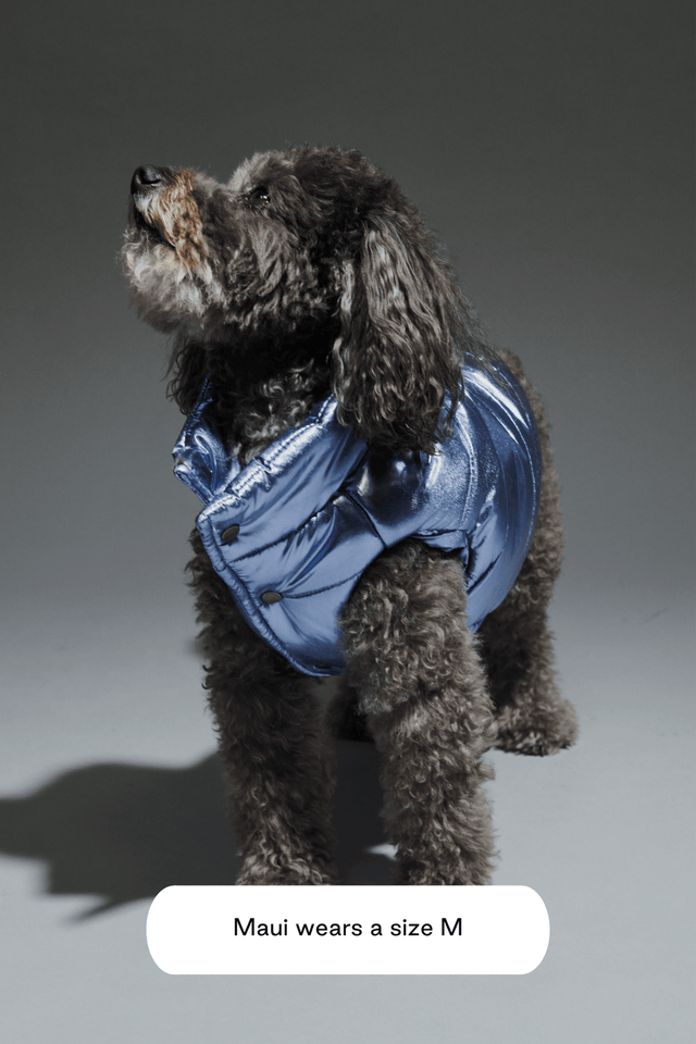 Max Bone Metallic Arabella Puffer Vest