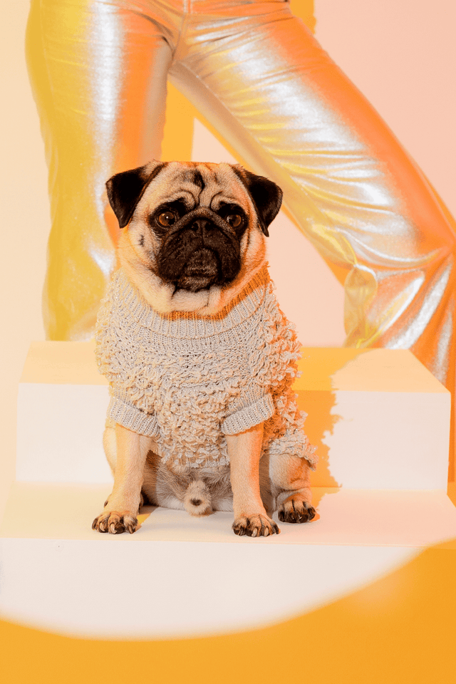 Max Bone Metallic Curly Knit Dog Jumper Silver