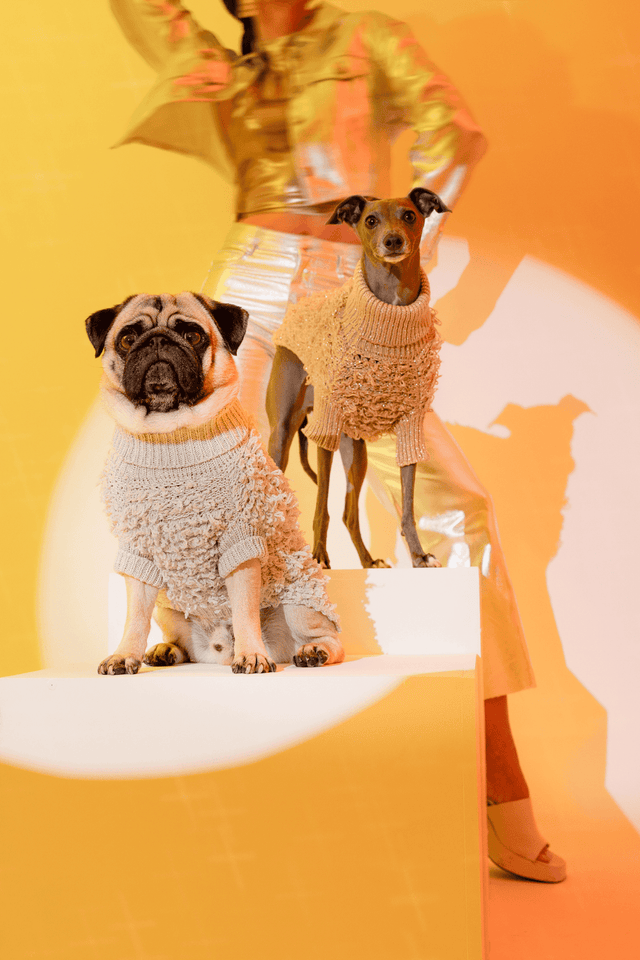 Max Bone Metallic Curly Knit Dog Jumper Gold