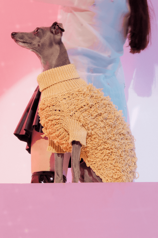 Max Bone Metallic Curly Knit Dog Jumper Gold