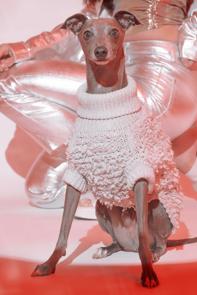 Max Bone Metallic Curly Knit Dog Jumper Silver