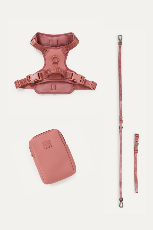 Maxbone Go! With Ease Dog Leash & Harness Walk Set