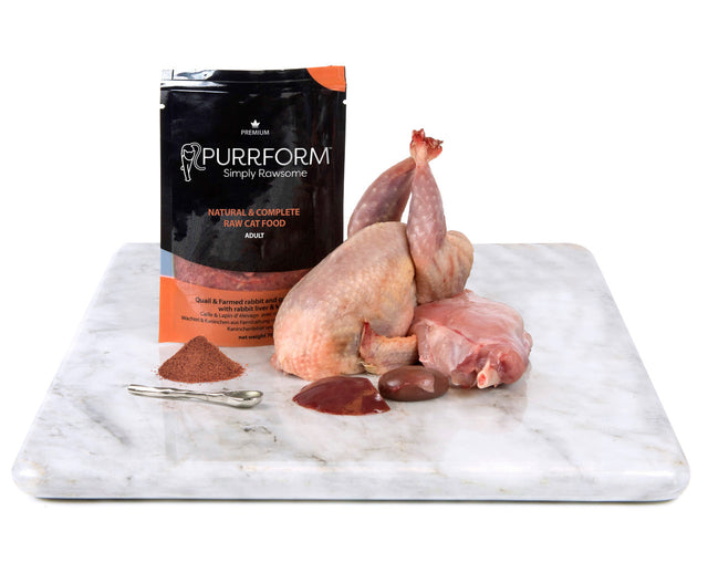 Purrform Quail & Farmed Rabbit 70g Pouch