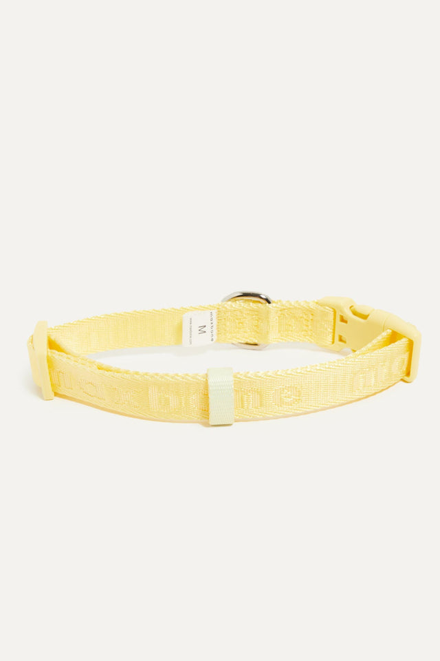 Max Bone Dog Signature Collar