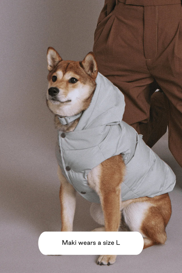 Max Bone Dog Sub Zero Waterproof Jacket - Mint Fog