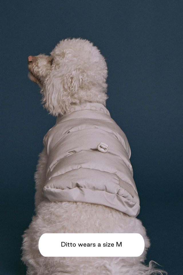 Max Bone Dog Sub Zero Waterproof Jacket - Sand Dune - XXL