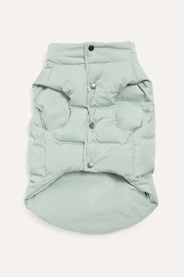 Max Bone Dog Sub Zero Waterproof Jacket - Mint Fog
