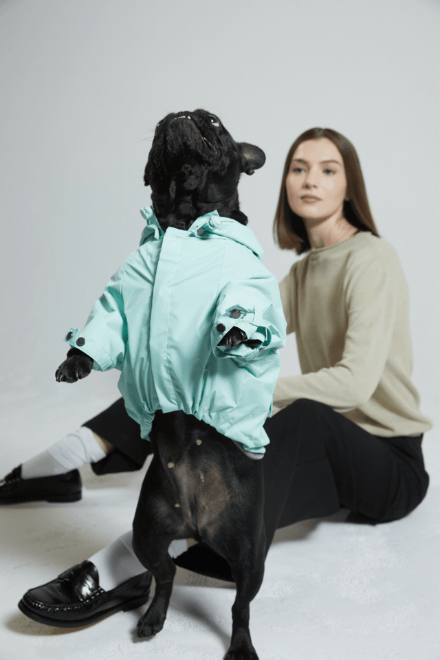 Max Bone Talon Dog Raincoat Mint