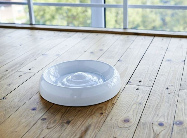 Lucky-Kitty Cat and Dog Food Bowl Size XL (Ø 27CM)
