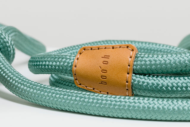 Boo Oh Ray Dog Harness - Mint Green