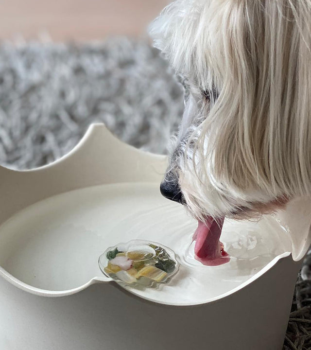 VitaJuwel CrownJuwel Pet Water Bowl - Cloud White